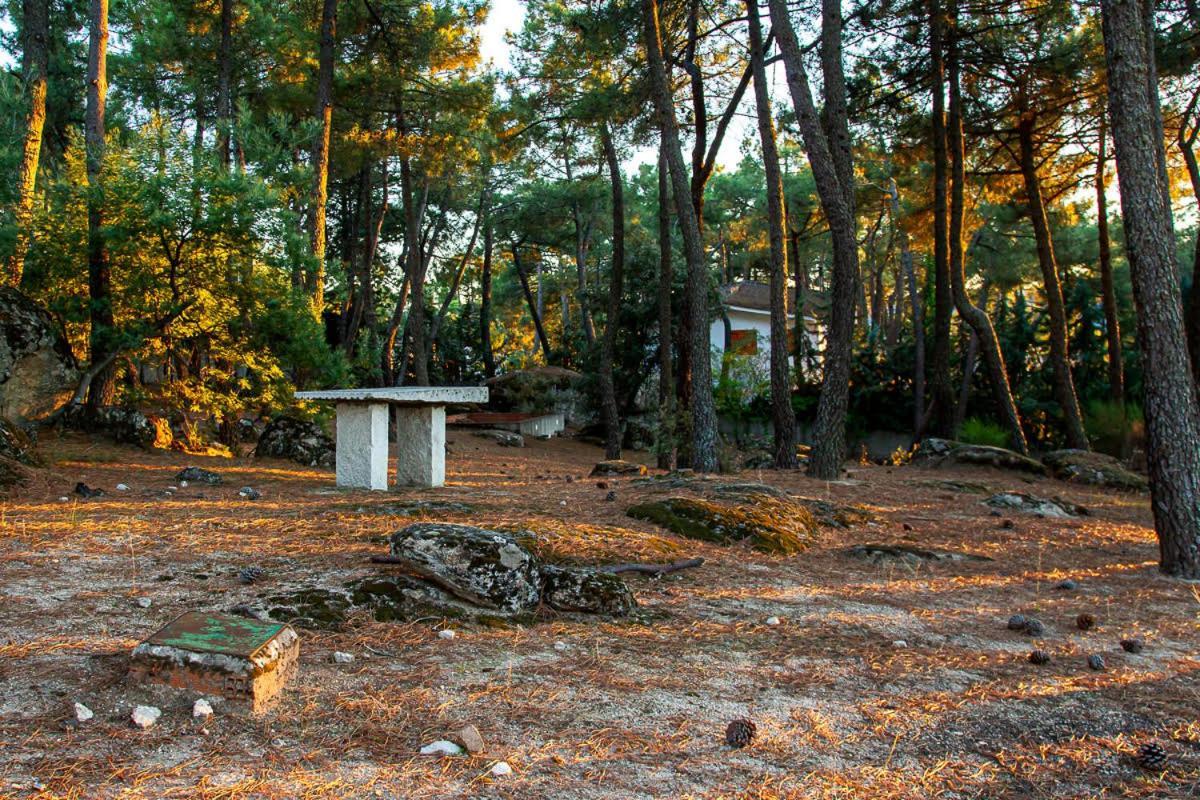Casa Cadalso, Mirador De Gredos, Madrid Guest House Cadalso de los Vidrios Exterior photo